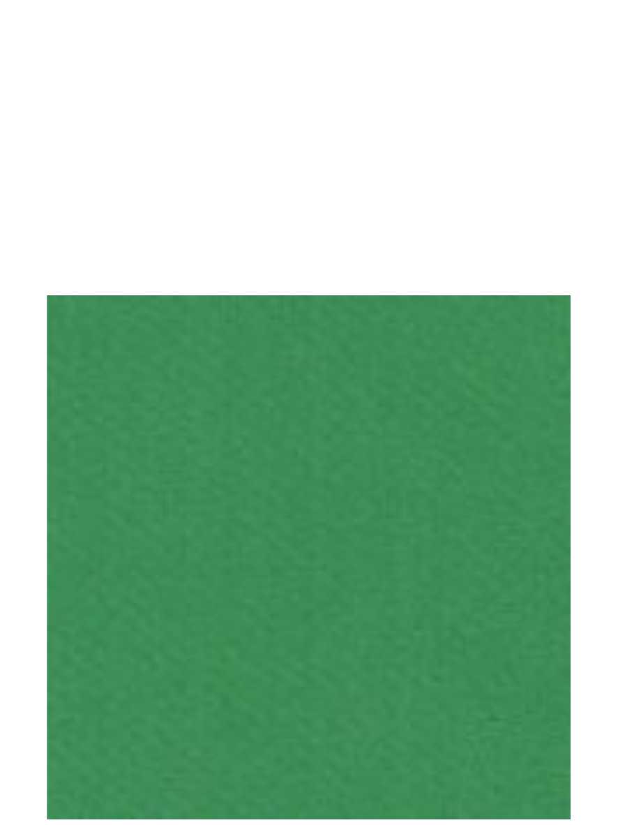 Papel Cartão Verde Bandeira 47x66 Milpel Ref. 6270 