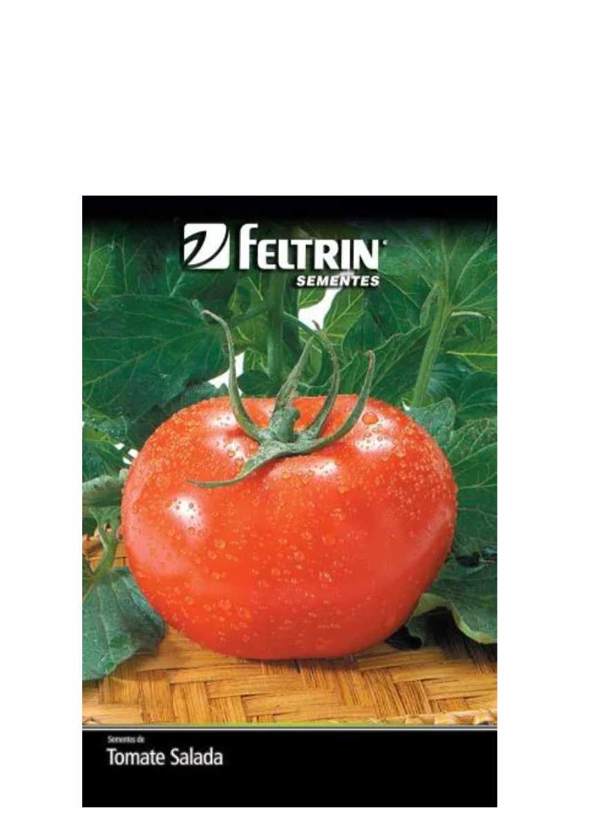 Semente de Tomate Gaúcho Feltrin Ref. 7171